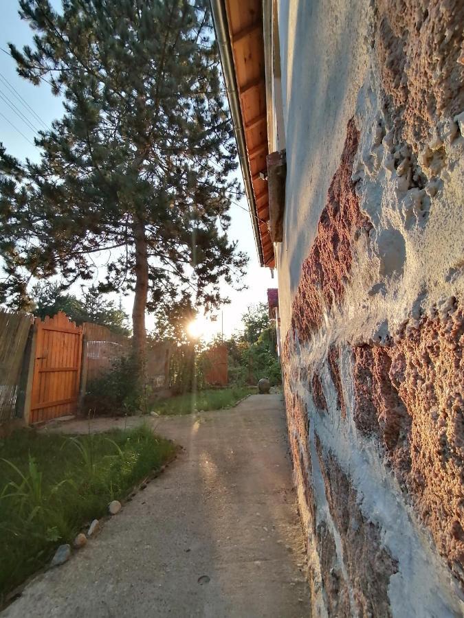 Ижата - Топлина И Уют Borovitsa Exteriör bild